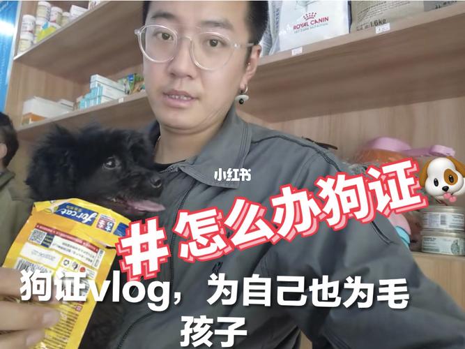 办狗证