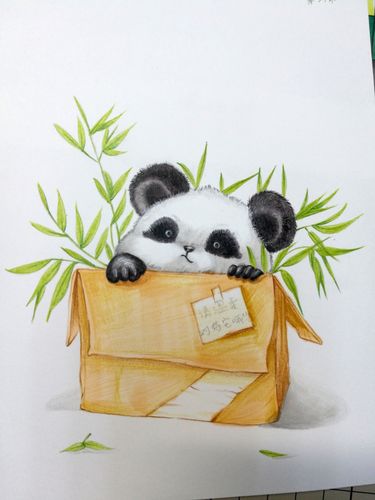 彩铅画熊猫