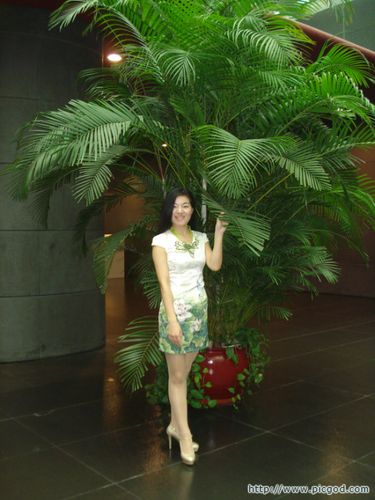 印玉莲