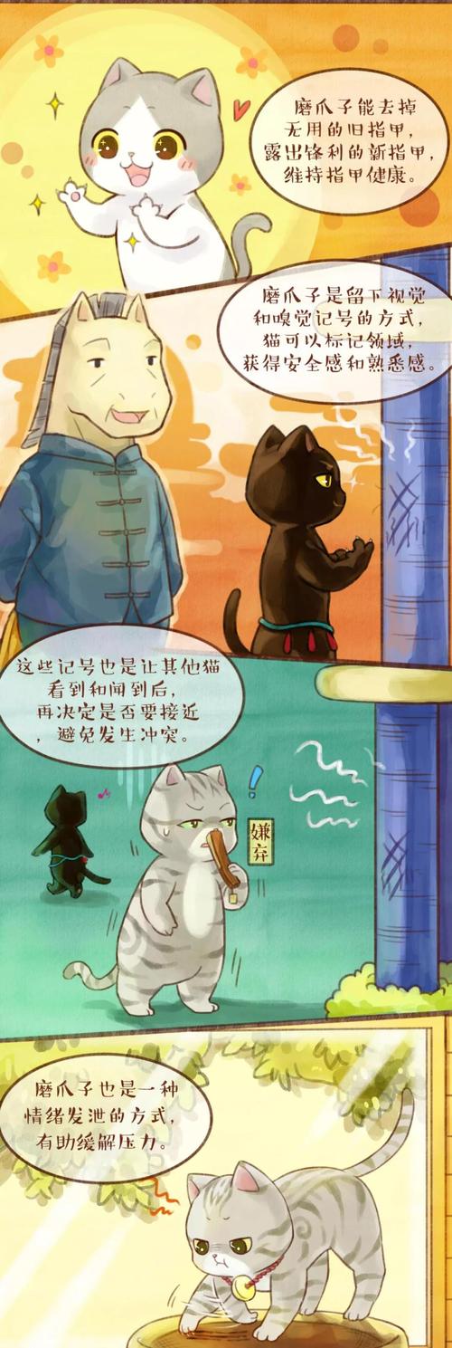 《观复猫演义》第208话 | 磨爪子的秘密