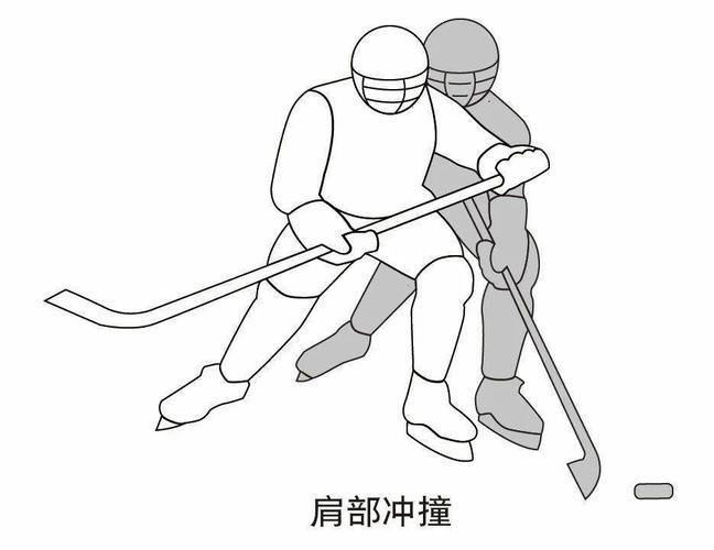 冰球——激烈对抗的冰上曲棍球!