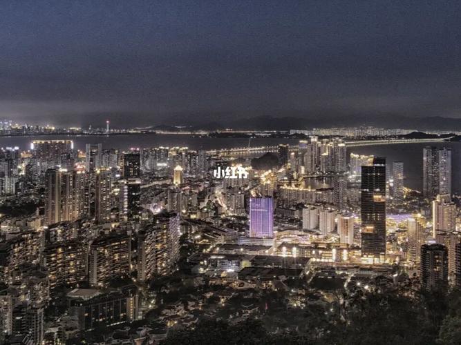 大南山公园俯瞰深圳璀璨夜景_夜景_大南山自由行热门攻略_摄影_买房