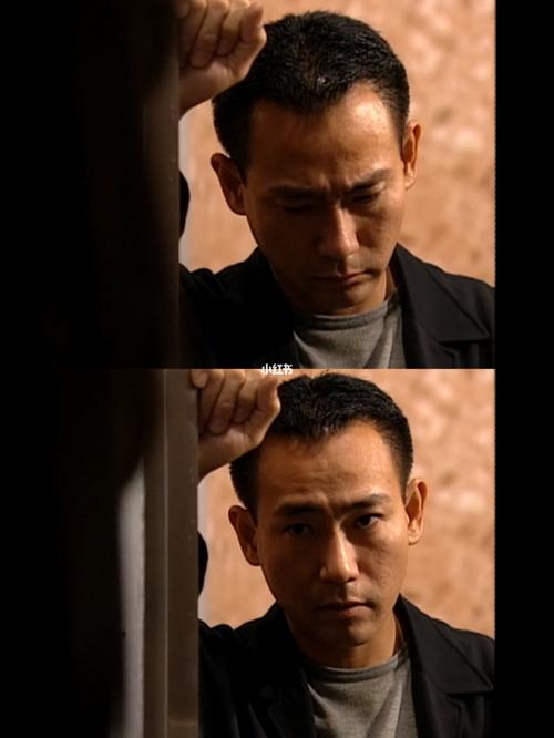 鉴证实录男神林保怡封神一幕一点点感情线