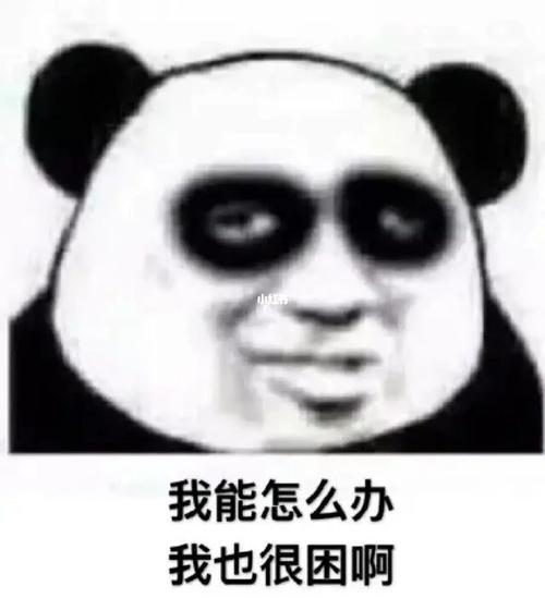 很困就是睡不着怎么办?_熬夜_素材_素材其他