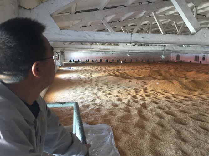 玉米储存仓