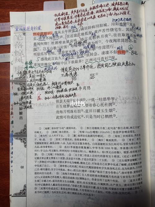 高一语文《琵琶行》笔记_精华_素食_艺术感_植树节去哪玩_鞋子_日本