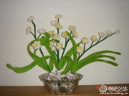水仙花01.jpg