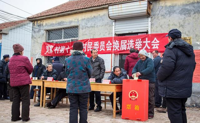 村干部选举设置学历要求,这2类人将被剔除候选人行列?