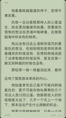 如何看待淮上的《提灯看刺刀》中的人物楚慈?
