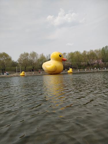 哈尔滨青年公园