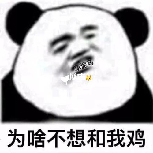 一组适用于和平精英的熊猫头表情包_表情包_熊猫头表情包_素材_表情包