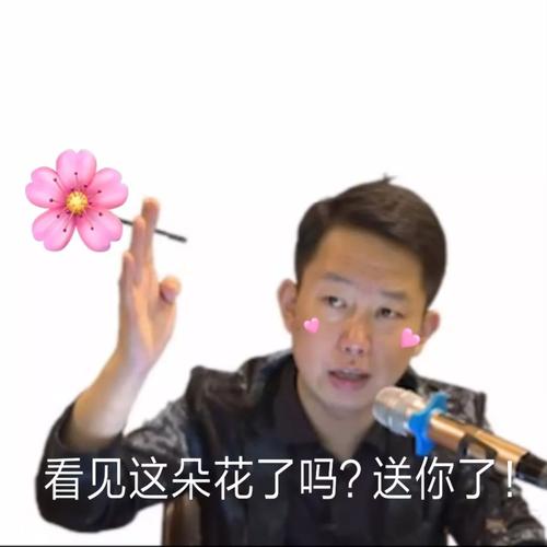 宇哥表情包合集你们一直要的都在这里