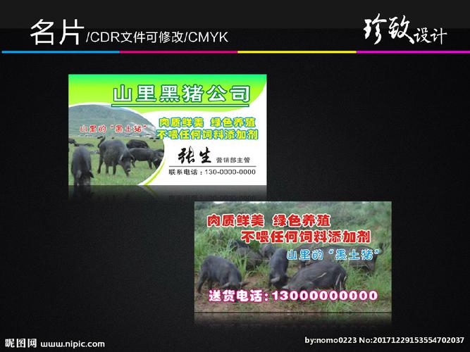 黑土猪名片图片