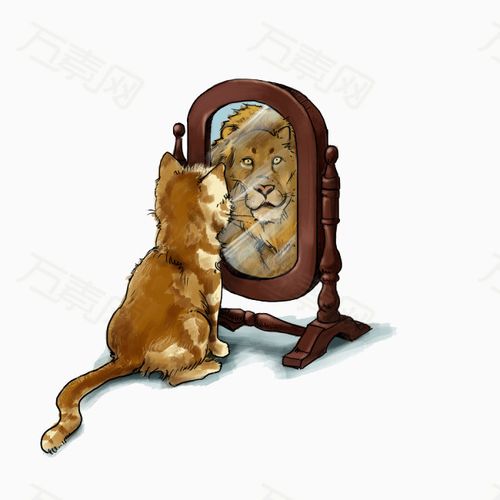 照镜子的猫