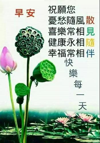 最新早上好问候表情动态图片,清晨送你好看暖心的早安