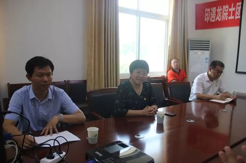 市委常委统战部长付玲到潮泉镇调研指导工作
