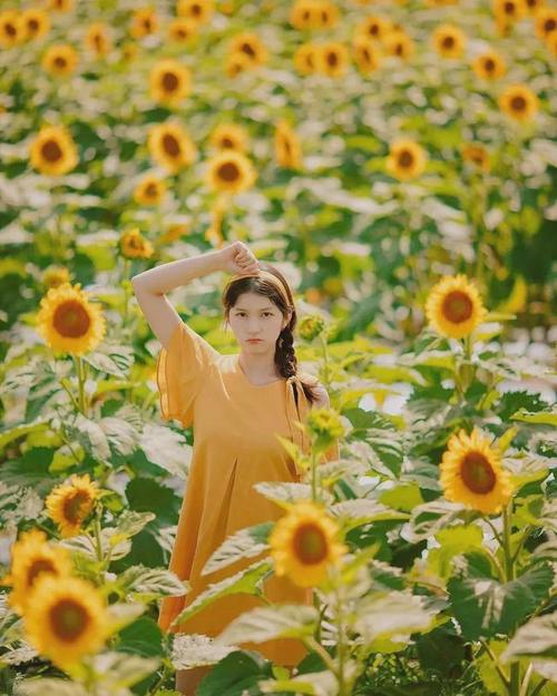 向日葵人像拍照姿势7个姿势简单易学拍出你的不同美
