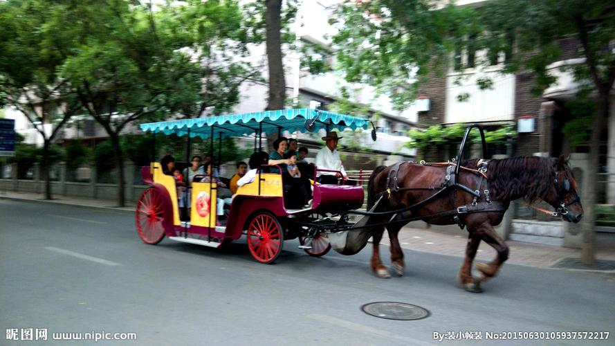 现代观光马车图片