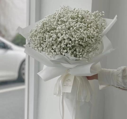 满天星花语|赠予你满天星辰