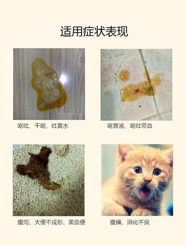狗狗猫咪呕黄水白沫治疗宠物止吐慢性肠胃炎病调理普犬猫西咪替丁片药