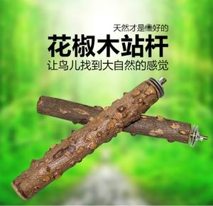 野生花椒木鸟站杠