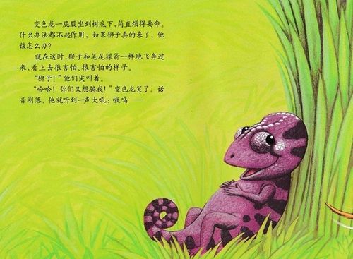 绘本故事——《乱七八糟的变色龙》