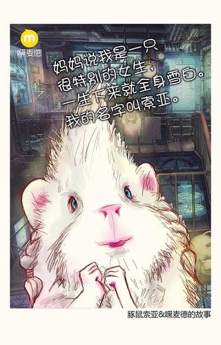 一个妹子和豚鼠的故事