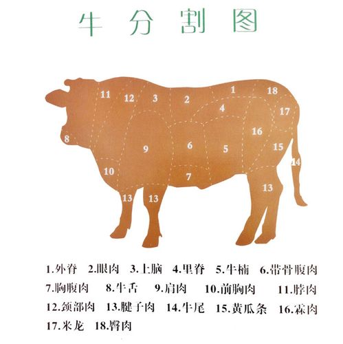 关于德胜 / 牛分割图-无棣德胜牧业有限公司