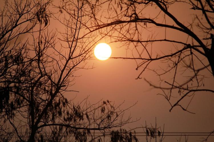 成都智库舆情:说不尽的冬意,景象万千