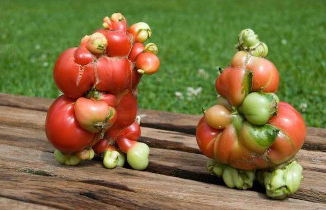 日本核辐射影响到底有多大