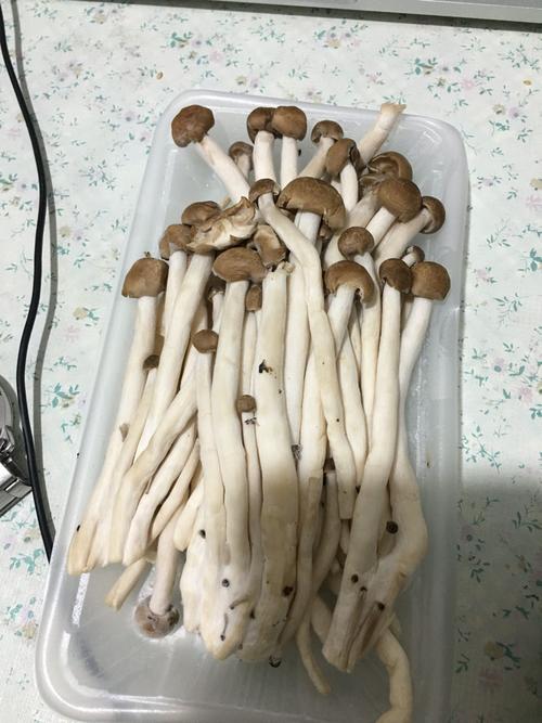 刚在超市买了不知名的蘑菇,头上面浮着一层白毛,问一下涮火锅能吃吗.