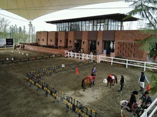 达根斯国际马术俱乐部图片 - 第3张