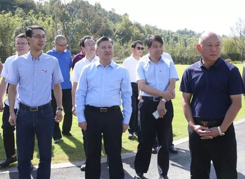 【奋战孝丰】县委书记沈铭权调研孝丰镇主题教育开展和乡村振兴战略