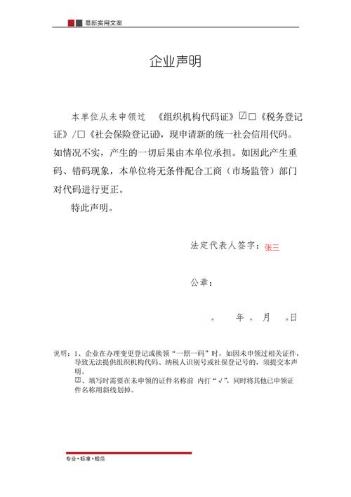 范本企业声明标准模板