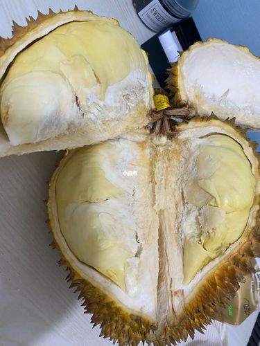 开榴莲_榴莲_开榴莲_美食_美食展示