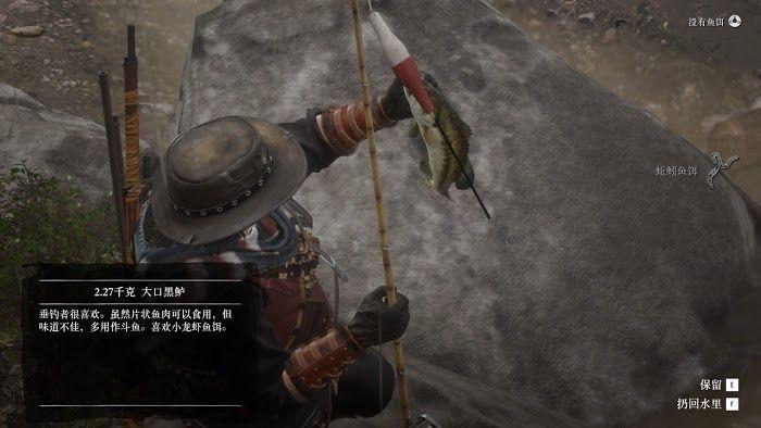 来源:荒野大镖客2吧 鱼挺多,中型的不少,看得见的湖鲟