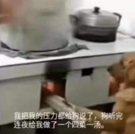 考试周破防表情包08