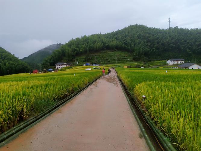 崇义上堡梯田之行