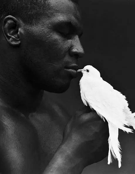 michel comte◇作品(泰森)