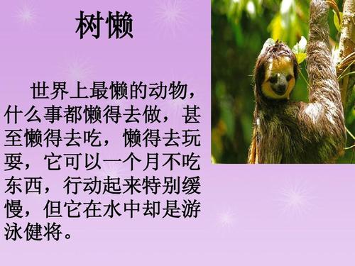 奇妙的动物世界ppt