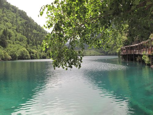 九寨行(2)--九寨美景 - 路特 - 上善若水