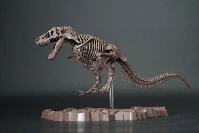 画龙画骨万代塑料拼装恐龙骨骼化石模型