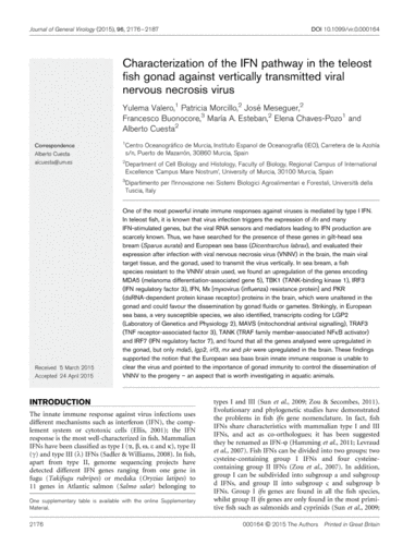 characterization of the ifn pathway in the teleost fish gonad