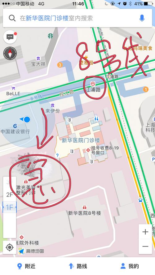 新华医院验血攻略