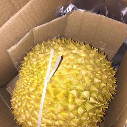 > 【苏宁生鲜】泰国金枕头榴莲9-10斤(约1-2个)商品评价 > 买了几次了