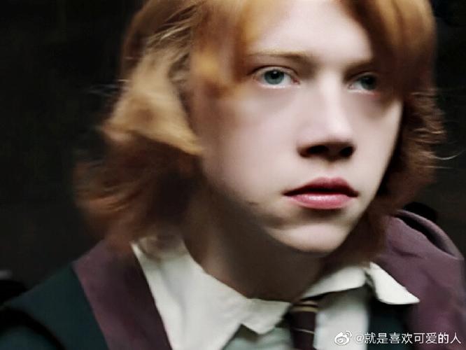 罗恩·韦斯莱(ron weasley)