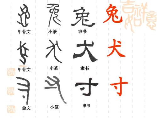 兔 甲骨文 小篆 隶书 犬 甲骨文 小篆 隶书 寸 金文 小篆 隶书