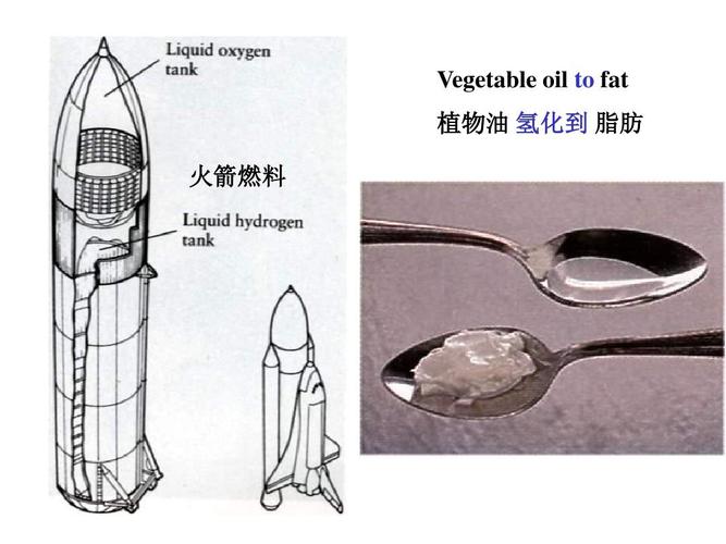 vegetable oil to fat 植物油 氢化到 脂肪 火箭燃料