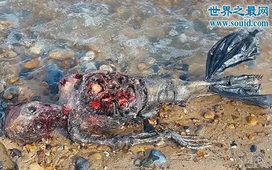 真正的美人鱼图片,长相恐怖/令人作呕