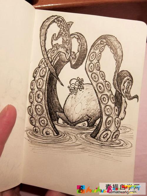 章鱼素描画 章鱼创意手绘 简笔画